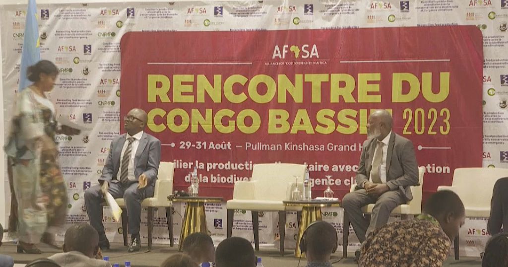 DR Congo: Experts call for boost to food security, safeguard of Congo Basin