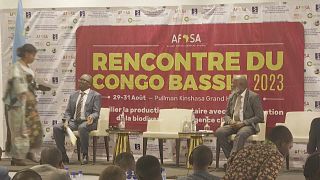 DR Congo: Experts call for boost to food security, safeguard of Congo Basin