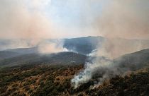 Smoke rises as a wildfire burns at Dadia National Park in the region of Evros, Greece, August 29, 2023