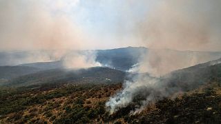 Smoke rises as a wildfire burns at Dadia National Park in the region of Evros, Greece, August 29, 2023