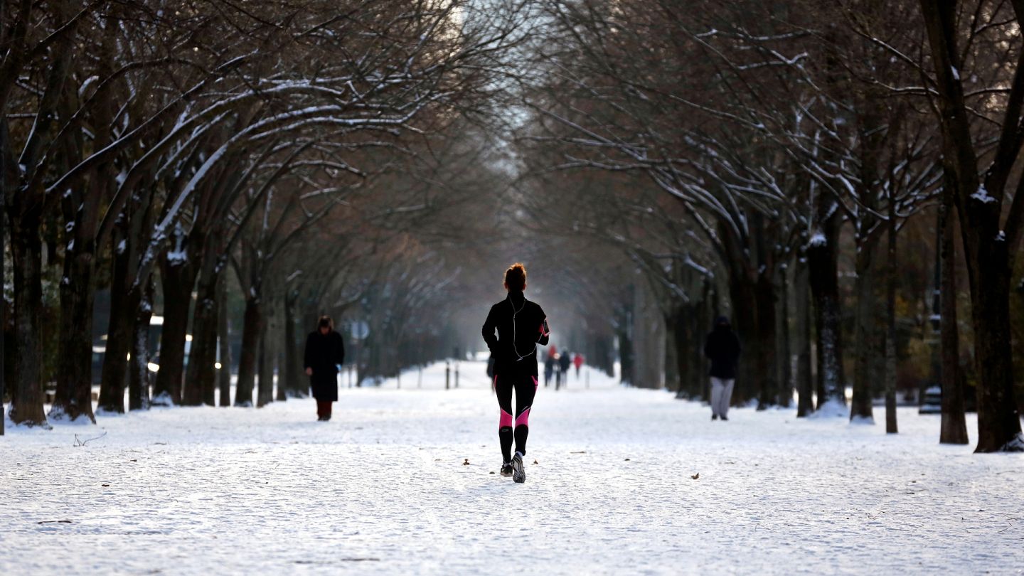 Will Europe see more snow this winter? Here's how El Niño could affect our  weather