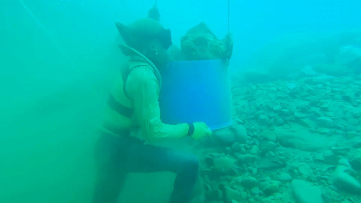 عامل يغطس لاستخراج ذرات الذهب من قعر البحر في الفلبين