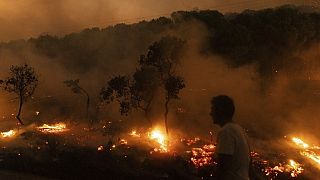 Yunanistan'da Evros bölgesinde, Dedeağaç kasabası yakınlarındaki Dikela köyünde orman yangını