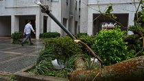 رجل يسير بجوار عمود إنارة وأشجار تضررت بسبب إعصار ساولا في هنغ فا تشوين، هونغ كونغ.