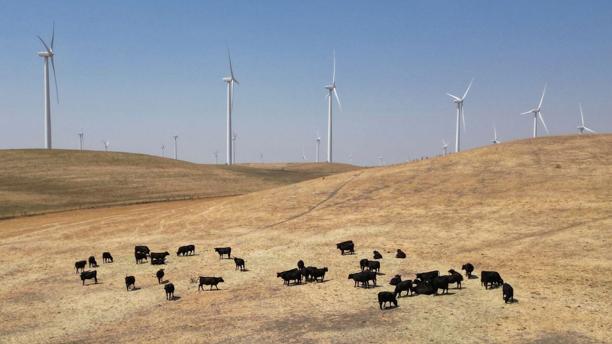 تپه‌ای با نیروگاه بادی در شهرستان سولانو، کالیفرنیا، چهارشنبه، ۳۰ اوت ۲۰۲۳