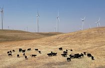 تپه‌ای با نیروگاه بادی در شهرستان سولانو، کالیفرنیا، چهارشنبه، ۳۰ اوت ۲۰۲۳