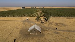 Des milliardaires et des investisseurs de la Silicon Valley sont à l'origine d'une opération secrète d'achat de plus de 202 km2 de terres agricoles, qui dure depuis des années, en vue de la construction d'une nouvelle ville.
