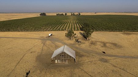Silicon Valley billionaires and investors are behind a years-long, secretive land buying spree of more than 202 square km of farmland to build a new city.