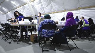 زنان افغان در آمریکا و مرکز پناهجویی