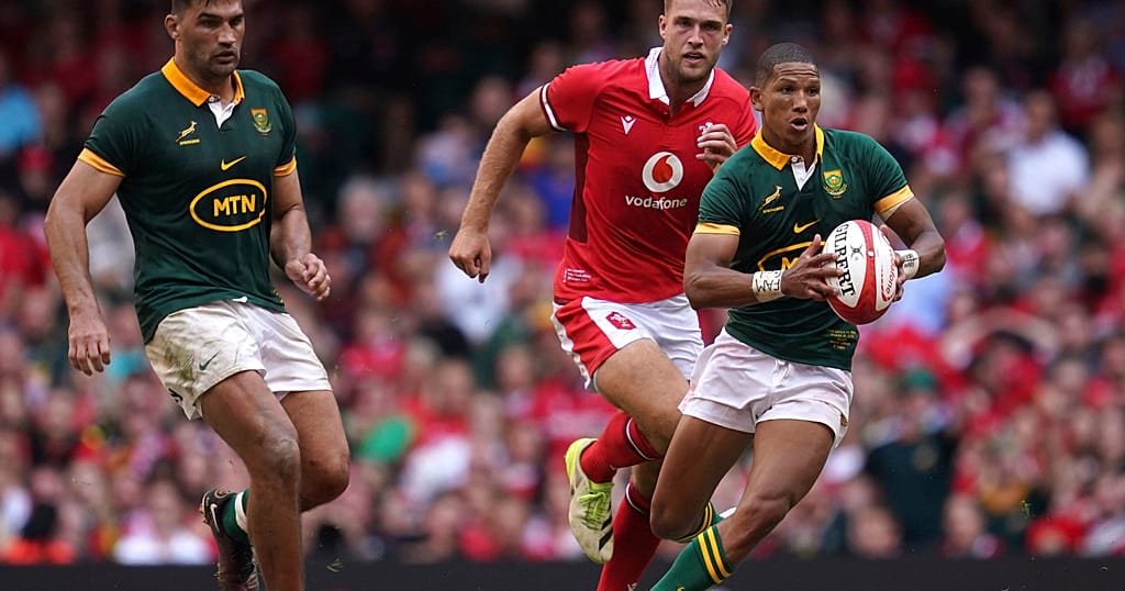 Springbok Rugby 2023 Rugby world cup 2023: Springboks ruthless against Scotland | Africanews