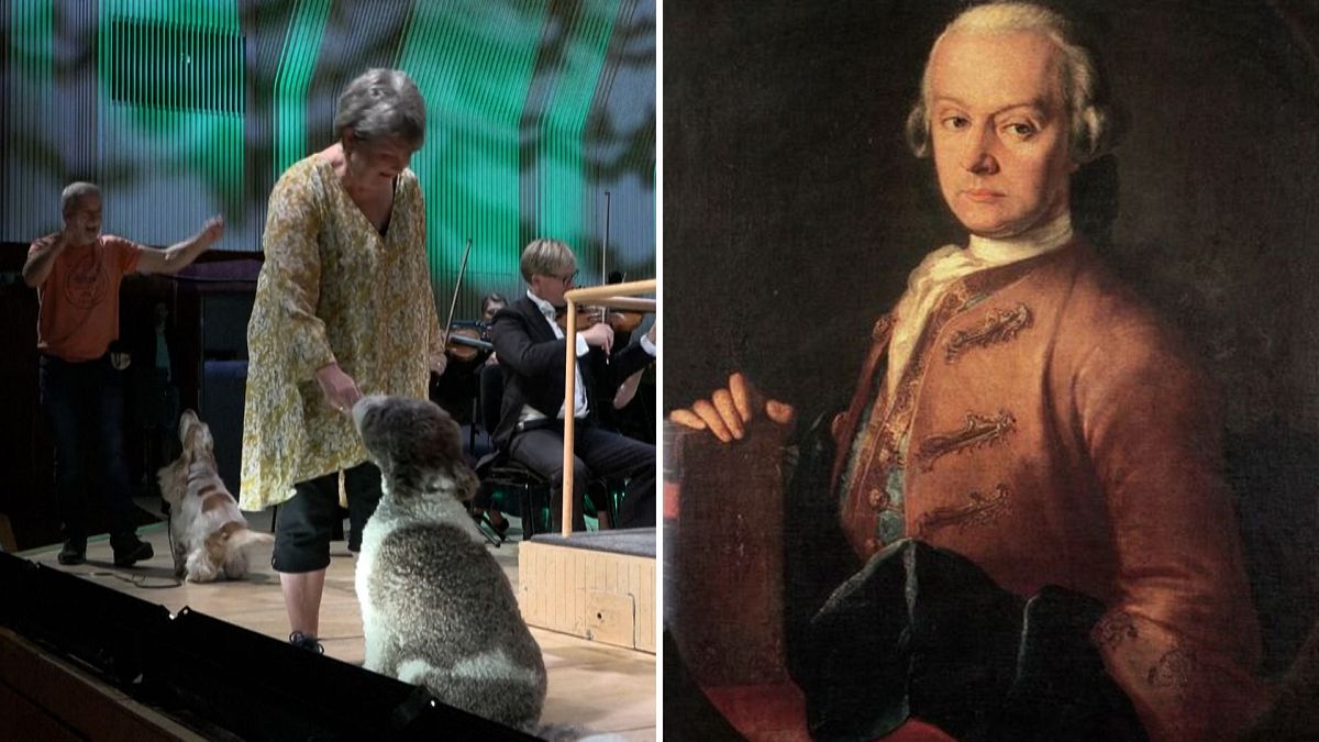 Barking dogs star in a Mozart symphony in Denmark