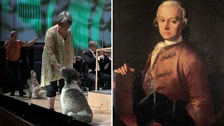 Barking dogs star in a Mozart symphony in Denmark