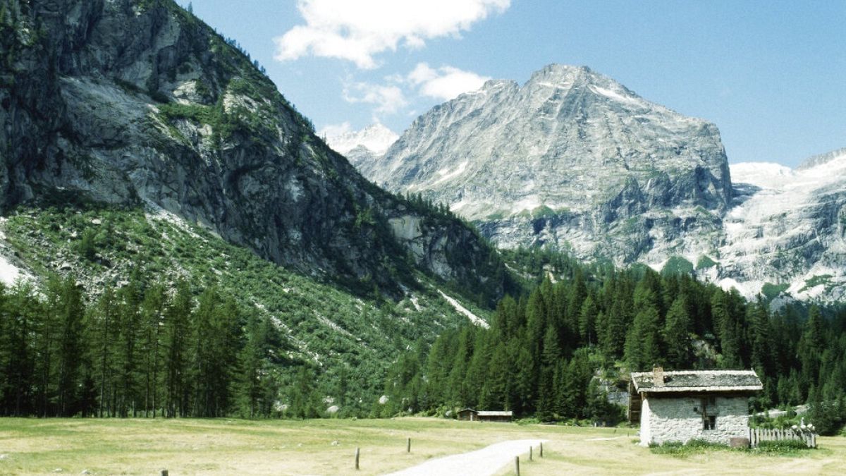 Adamello-Presanella mountain chain situated in the Dolomites, Italian Alps.