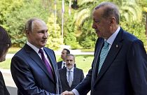 Der russische Präsident Putin begrüßt seinen türkischen Amtskollegen Erdoğan in Sotschi