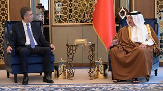 إيلي كوهين يلتقي ولي عهد البحرين الأمير سلمان بن حمد آل خليفة 