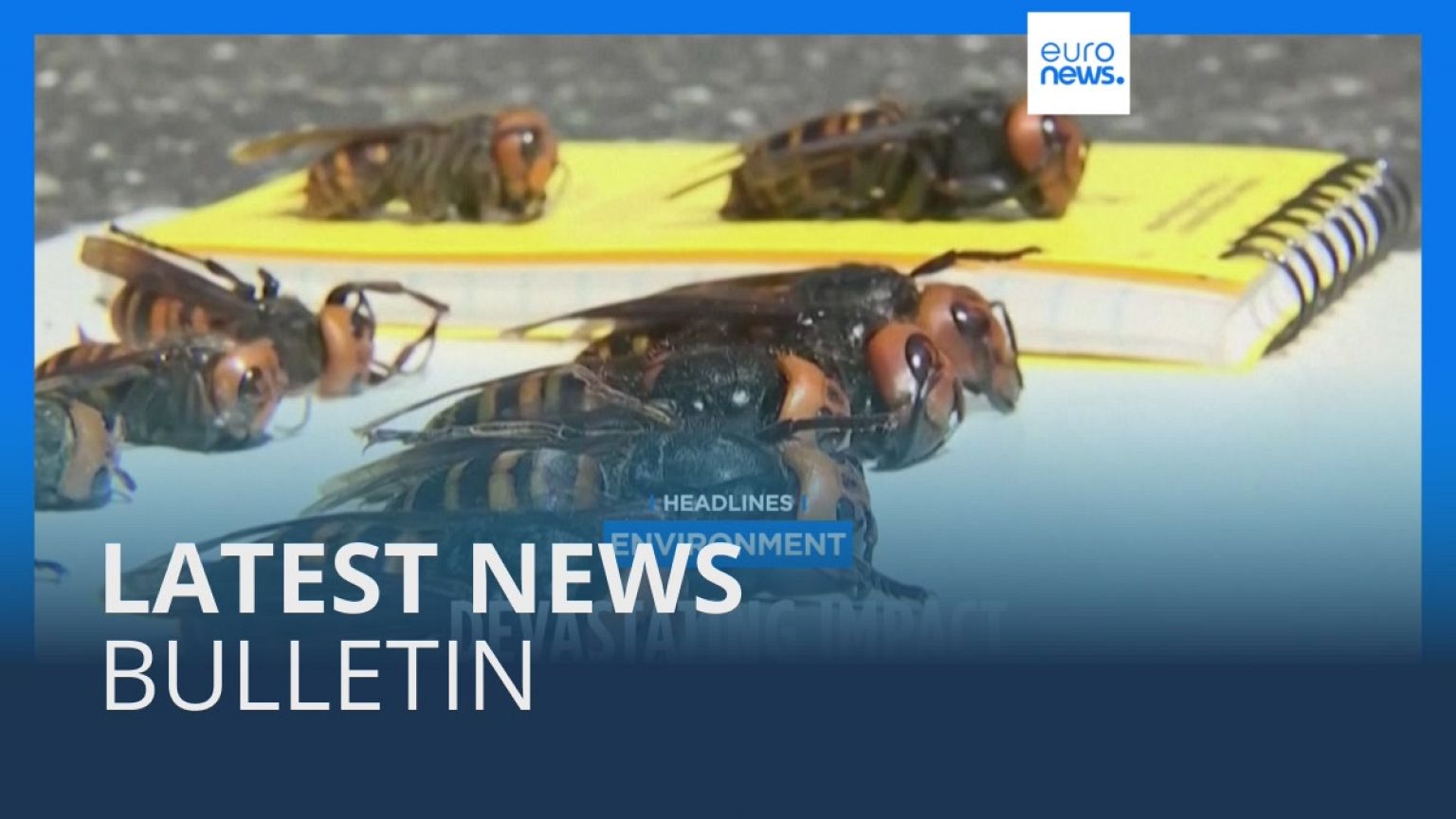 Latest news bulletin | September 5th – Morning