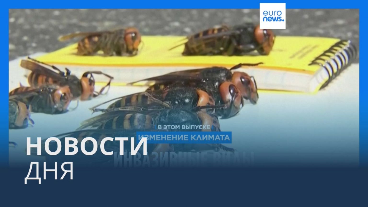Новости дня | 5 сентября — утренний выпуск