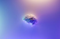 Ein menschliches Gehirn verbraucht etwa 20 Watt, um Verbindungen zwischen 86 Milliarden Neuronen herzustellen.