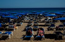 Tourists on Benidorm's beaches have been warned about fish attacks. 