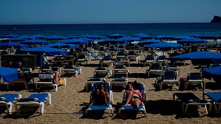 Les touristes qui fréquentent les plages de Benidorm ont été mis en garde contre les attaques de poissons.
