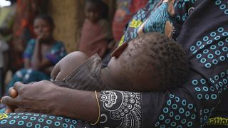 RDC : les déplacés d'Ituri désespérés face à des violences persistantes