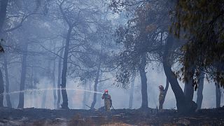 Des pompiers en action lors d'un incendie dans la banlieue de Stamata, dans le nord d'Athènes, en Grèce, le lundi 4 septembre 2023.