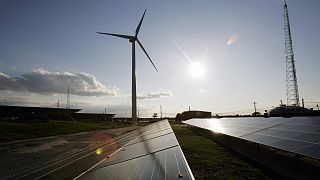 Tad the largest share of wind and solar electricity generation of leading world economies last year