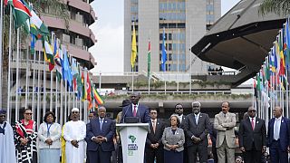 Afrikalı liderlerden çevre krizine karşı küresel vergi talebi