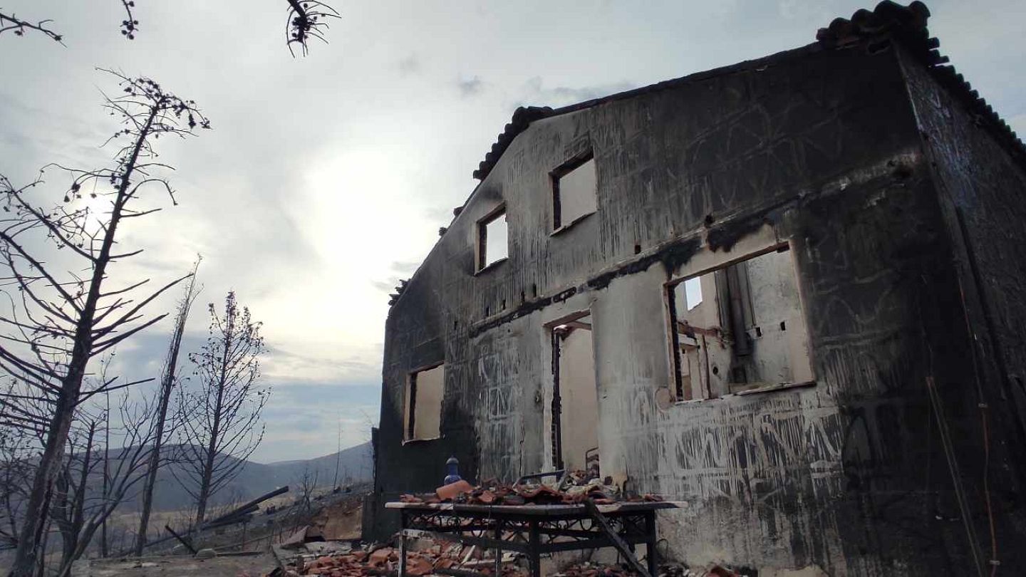 Greece: Forest Fire Destroys Jobs of Pine Resin Collectors