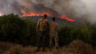Waldbrand nahe des griechischen Dorfs Sykorrahi bei Alexandroupoli