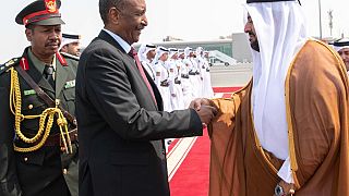 Sudan: Burhan meets Qatar's emir in Doha, vows transitional path
