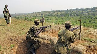 Uganda says its operations in Congo have killed 567 IS-allied fighters
