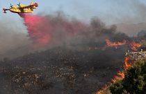 A Canadair aircraft drops flame retardant on burning vegetation in Sicily's Trapani, Italy August 27, 2023.