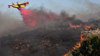 A Canadair aircraft drops flame retardant on burning vegetation in Sicily's Trapani, Italy August 27, 2023.