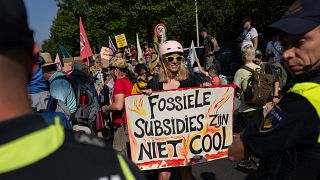 Ativista segura cartaz em Haia onde se lê "Subsídios Fósseis Não São Fixes"
