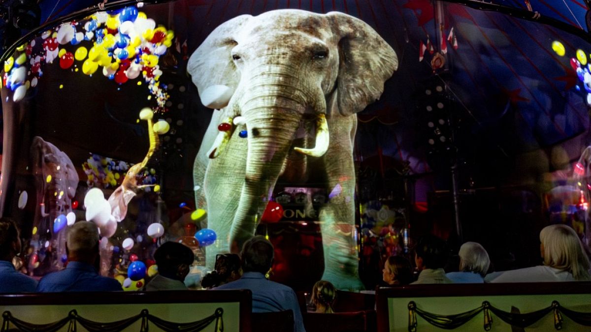 Spectators of the Roncalli Circus Show look at an hologram projection of an elephant during the show in Luebeck, northern Germany on 16 August 2023. 