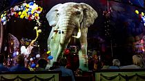Spectators of the Roncalli Circus Show look at an hologram projection of an elephant during the show in Luebeck, northern Germany on 16 August 2023.