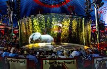 Holograma de elefante no circo Roncalli, Alemanha
