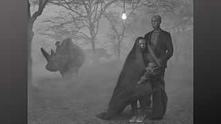 In "The Day May Break" photographer Nick Brandt portrays people and animals that have been impacted by environmental degradation and destruction.