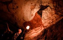 An employee shows paintings inside the life size Lascaux cave replica during a special immersive torch light visit, 2022