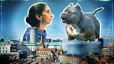 Suella Braverman has raised concerns over the American Bully XL breed after the attack in Birmingham