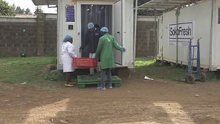Kenya : des chambres frigorifiques au service de l'agriculture