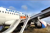 The Ural Airlines airbus A320 in a Siberian field, its escape chutes deployed, September 12 2023