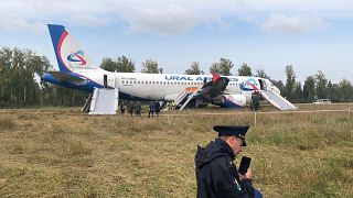 Airbus-A320 "Уральских авиалиний" совершил аварийную посадку в поле в районе села Каменка Новосибирской области.