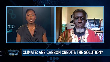 Climat: Are carbon credits the solution? [Business Africa]