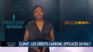 Climat : les crédits carbone, efficaces ou pas ? [Business Africa]