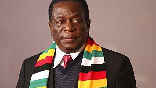 Zimbabwe president appoints son, nephew as deputy ministers