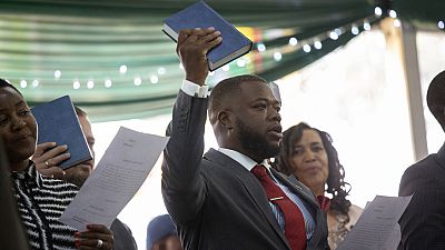 Zimbabwe : Mnangagwa nomme son fils et son neveu au gouvernement