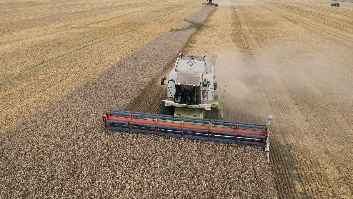 Польша продлевает эмбарго на зерно из Украины в одностороннем порядке |  Euronews
