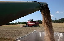 Polen will notfalls im Alleingang das Einfuhrverbot für ukrainisches Getreide verlängern